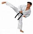 MARTIAL ARTS  - MARTIAL ARTS ..karate