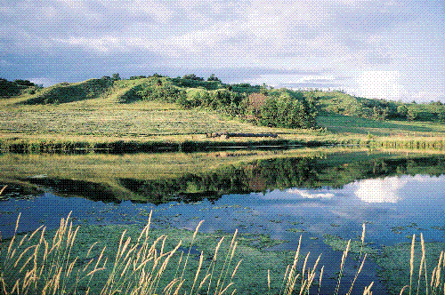 hill - i would like to take pics of hills like this