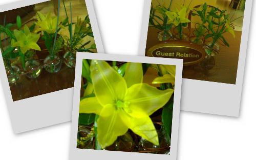 Beautiful Flower - New Alerts means a new motivation in our community to increase our courage to be involve in more daring conversation.
