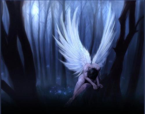 angel - It is a great picture.