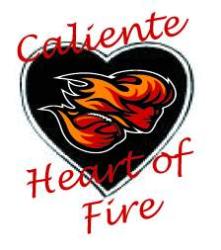 heart on fire - heart on fire