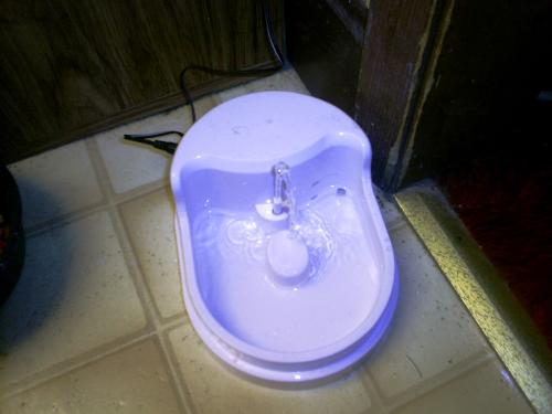 cats water dish - My daughter bought this water dish for her cat. It filters the water and refreshes it.