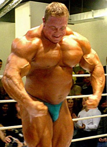 Bodybuilding - Very nice shape