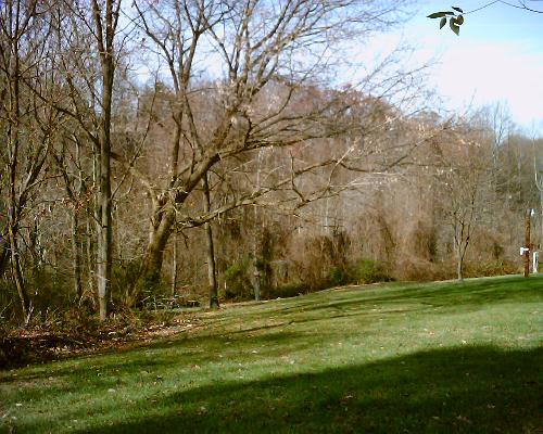 My back yard. - This is a picture of my back yard.