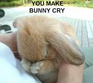cry - bunny cries