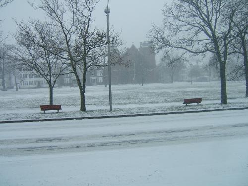 The commons across the street from me....was green - snowy scene