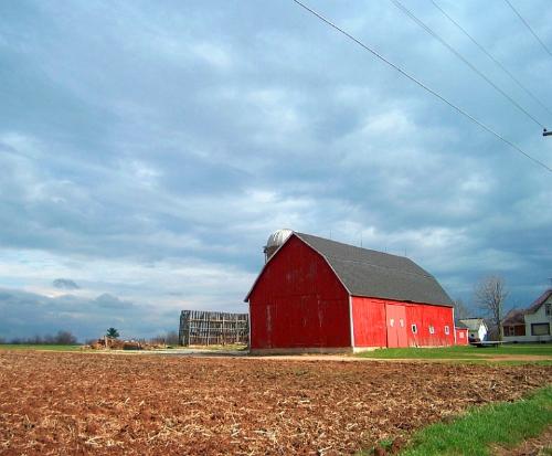 farm life - Life is what you make it. I love living in the wide open spaces and what a feeling of pride and accomplishment when you can farm and provide for your family by growing your own food.