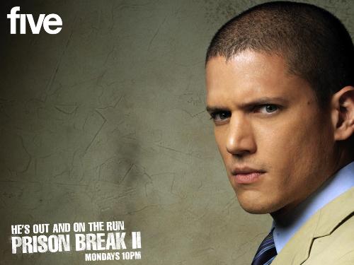 scofield - best show