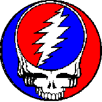 greatful dead - dead head skull