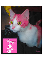 Pink Panther - I think this ones funny.