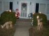 Family Tradition - This is every year my family and I get together and decorate the outside and the inside of our home for the holidays