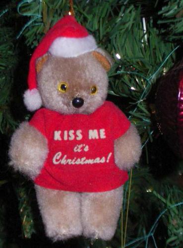 Christmas Teddy -  Teddy Bear in his Christmas outfit 'hanging out' on christmas tree