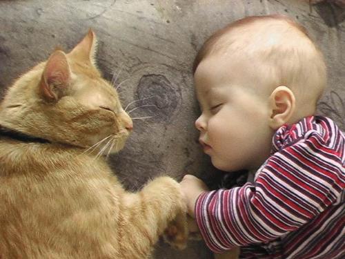 sleeping - see how nice they r sleeping