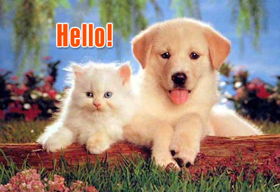 cute - i love my furry friends.