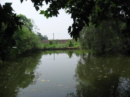The pool before my house - This is the pool before my house.I like it.There are trees around it.And when it is summer,the pool is very beautiful.Birds live on those trees,and fishes swim in the water.I like to drop some foods to the pool to feed the fishes. They so lovely!Sometime I just stand at the pool and think nothing.