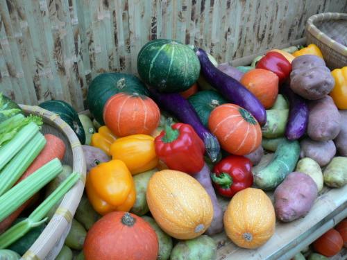 Vegetables collection - Variety of veggies
