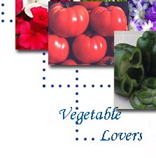 Vegetables collection - Vegetables, great variety