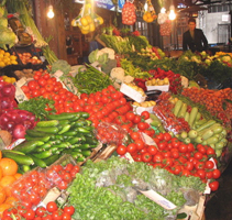 Vegetables collection - Veggies, good for health