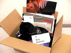 moving and got to much - I hate this every time I move I am really horrible in what I don't need and what I do need. I can't seem to get rid of stuff. I keep till myself its just 'Stuff'.that don't work very well.