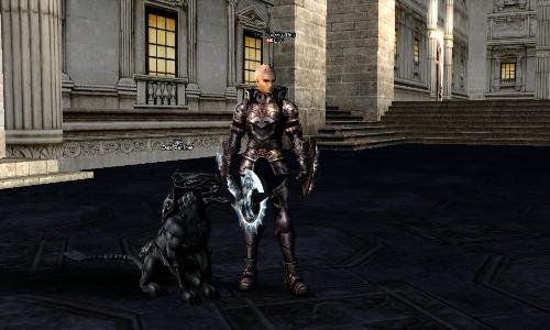 lineage 2 - lineage 2 player