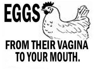 ovo? NO - eggs taste good, but is it worth it?