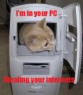 PC = tons of information - PC is now the source of information and it become super highway of tons of bytes in second. Becareful you should protect your vital information to deal with it in other networks.