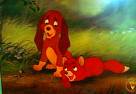 fox and the hound - foxxy