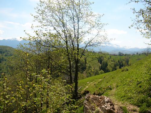 Another beautiful view, Romania - Another beautiful view, Romania