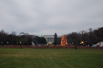 White House - with National Christmas Tree out front