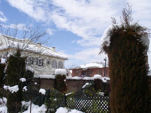 snow - The photo shows snow in kashmir valley.