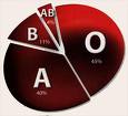 Blood groups - O,A,B and AB