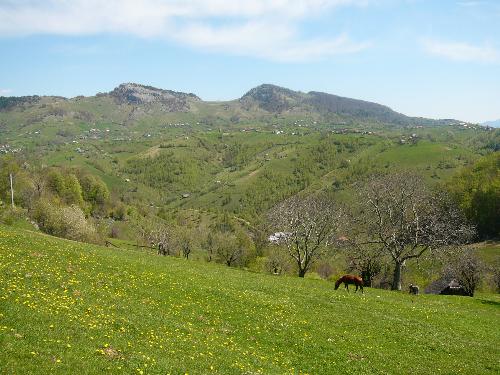 Simply Romania - Simply Romania