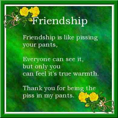 friendship - a beautiful friendship quote