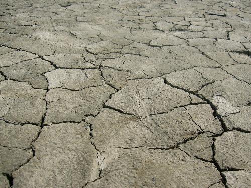 Dry land - Dry land