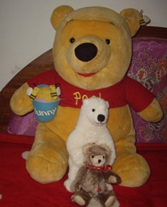 My bear collection - These are part of my bear collection, unfortunately I left them at my home, only the Polar is with me to the new city, i miss the hug of the Weenie bear.