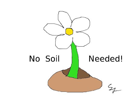 With Hydroponics - With Hydroponics no soil is needed to maintain and grow healthy productive plants!