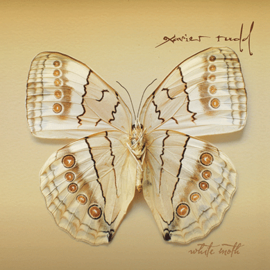 butterfly - Of the Xavier Rudd album