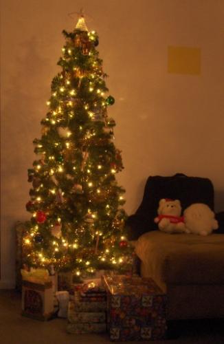 My New Skinny Christmas Tree - Skinny but still big enough for all my ornaments