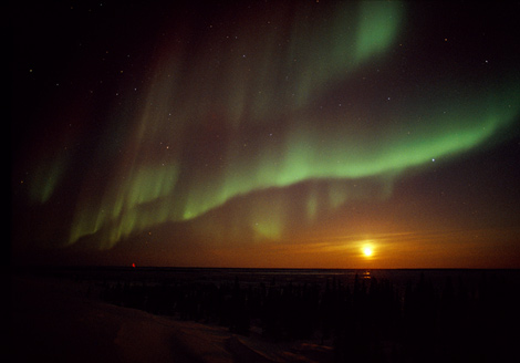 aurora - aurora streaks