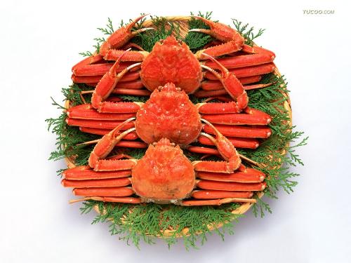 food - do you like it?