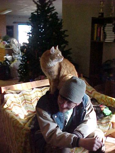 Russell - my cat - Russell's new Christmas trick. Such a proud puss, using my son's shoulders for a perch.