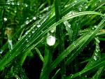 lets play in the rain - lets play