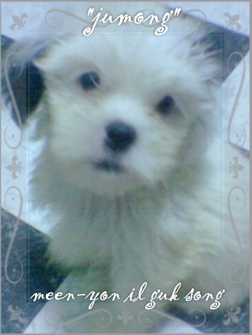 my pets name is JUMONG - my gift to my beloved wife