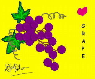 grape - grape image