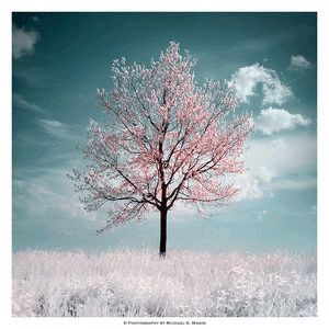A Fantasy Place... - Hues of Calmness