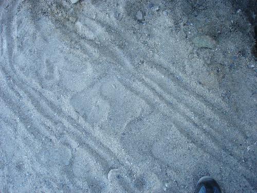 sand of italian coast - this is a seaside sand of an italian coast...there was liguria region