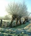 Frosty Countryside - A frosty morning in the countryside