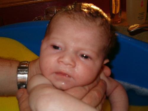 Jayden - Jaybird at 3months