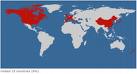 visitors - visitors from all over the world. visitors - visitors from all over the world.