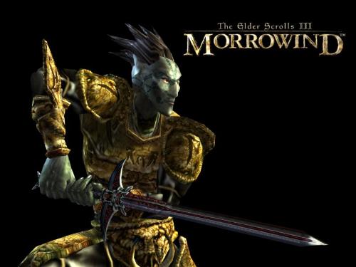 Elder Scroll III : Morrowind - The picture for morrowind. An Amazing rpg games.